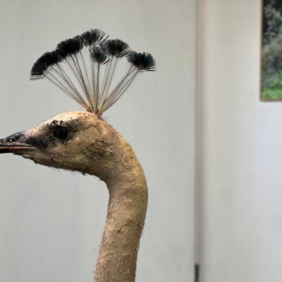 Hubert Hasler - #OVERRUN+